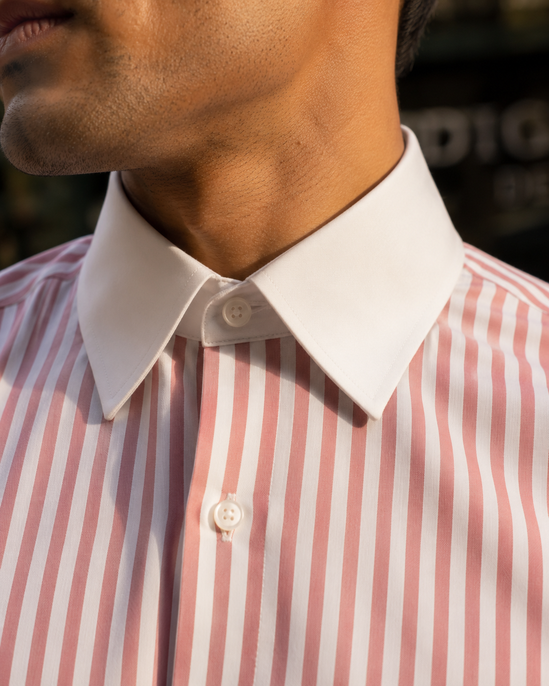 Men's Albini Cotton Pink Stripe Dress Shirt